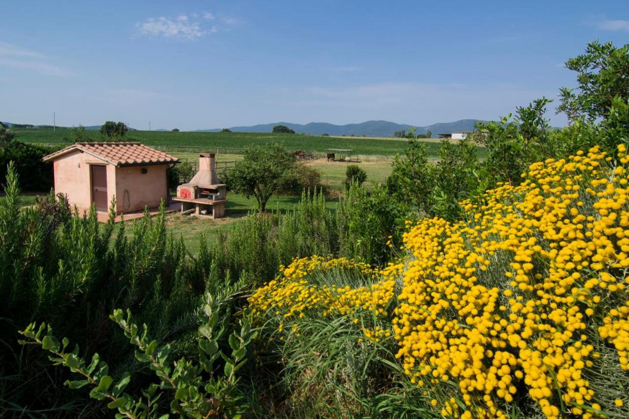 Bio Agriturismo Il Melograno Di Banditella Ristorante Alberese Exteriör bild
