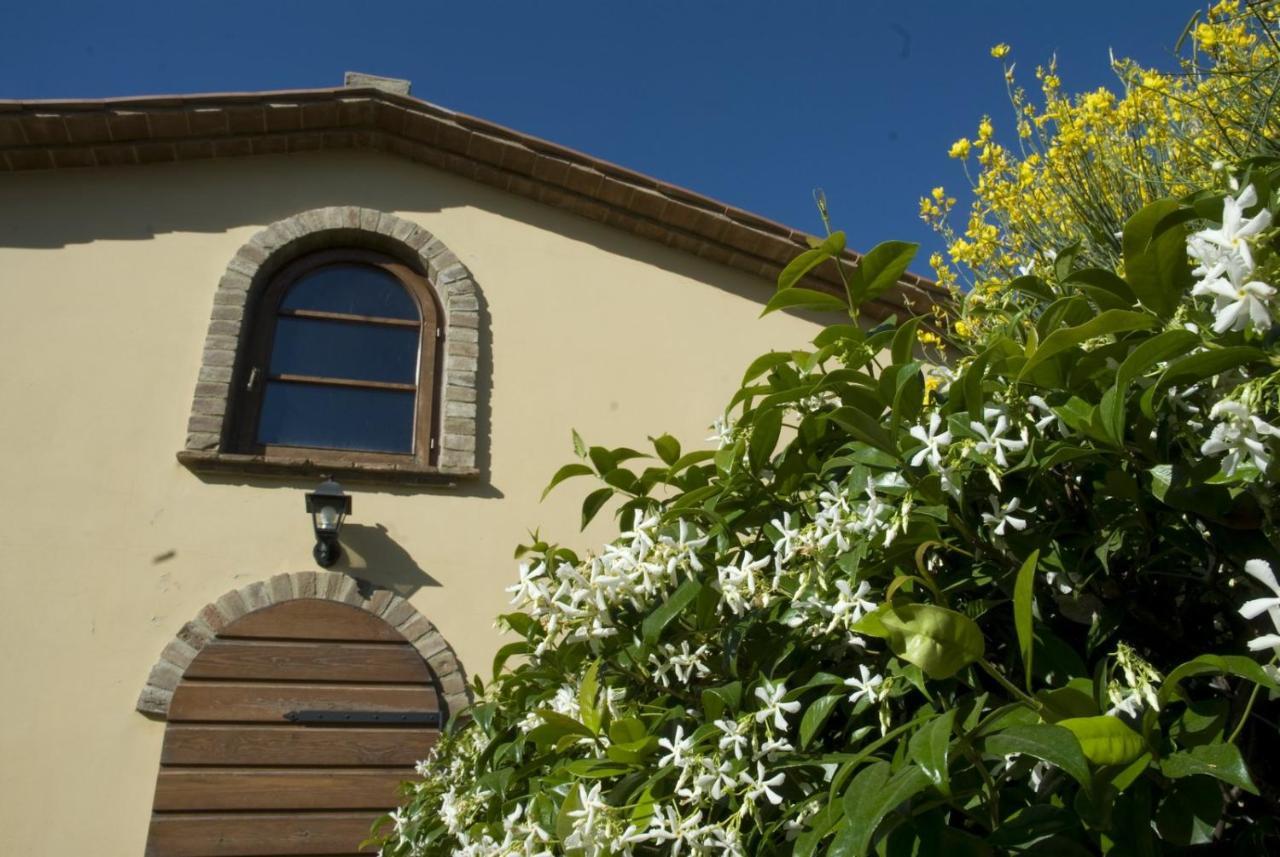 Bio Agriturismo Il Melograno Di Banditella Ristorante Alberese Exteriör bild