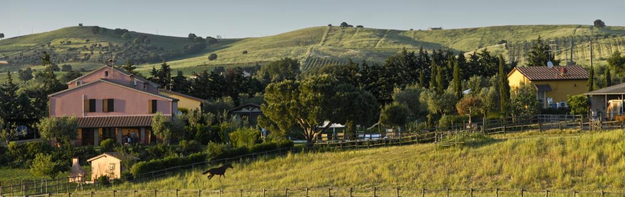 Agriturismo Il Melograno Di Banditella Alberese Exteriör bild